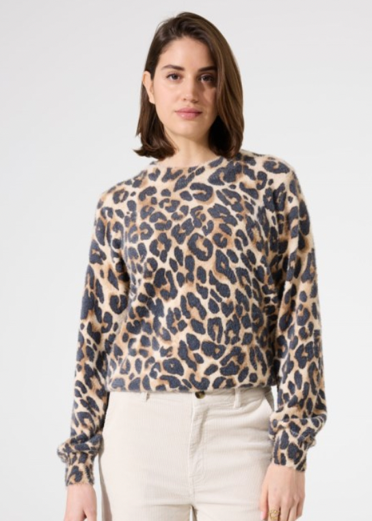 Garcia Sweater. H500445