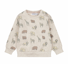 Load image into Gallery viewer, Dirkje Loose fit Sweater. 056569-35

