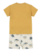 Load image into Gallery viewer, Dirkje Boys Shirt, Shorts Set N58632-35
