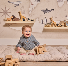 Load image into Gallery viewer, Dirkje Boys Shirt N58726-35
