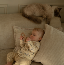 Load image into Gallery viewer, Dirkje Boys Jogging Trousers Set M60550-35
