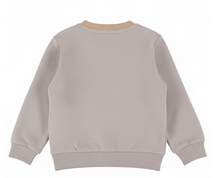 Load image into Gallery viewer, Dirkje Boys Sweater M60640-35
